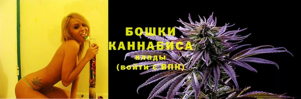 стаф Тында