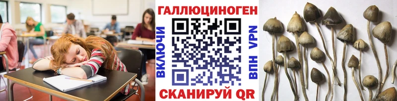 Галлюциногенные грибы прущие грибы  Купить  Хвалынск 